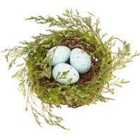 Robin Egg Nest in Green/Light Blue