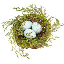 Robin Egg Nest in Green/Light Blue