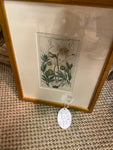 Antique Framed Botanical Print