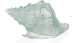 Cayo  Decorative Conch Shell - 10 in
