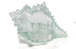 Cayo Decorative Conch Shell - 8 in.