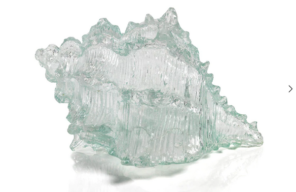 Cayo Decorative Conch Shell - 8 in.
