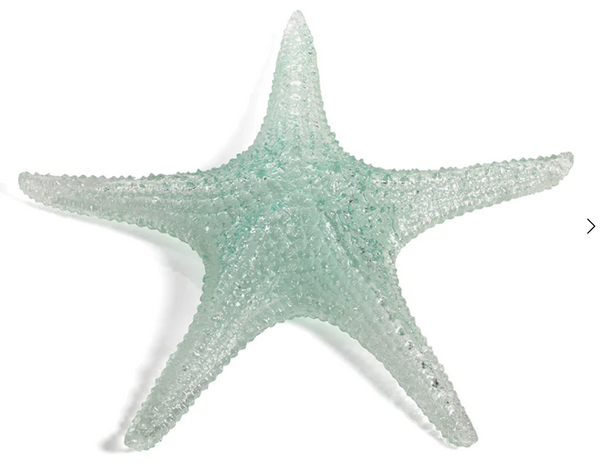 Cayo Decorative Starfish